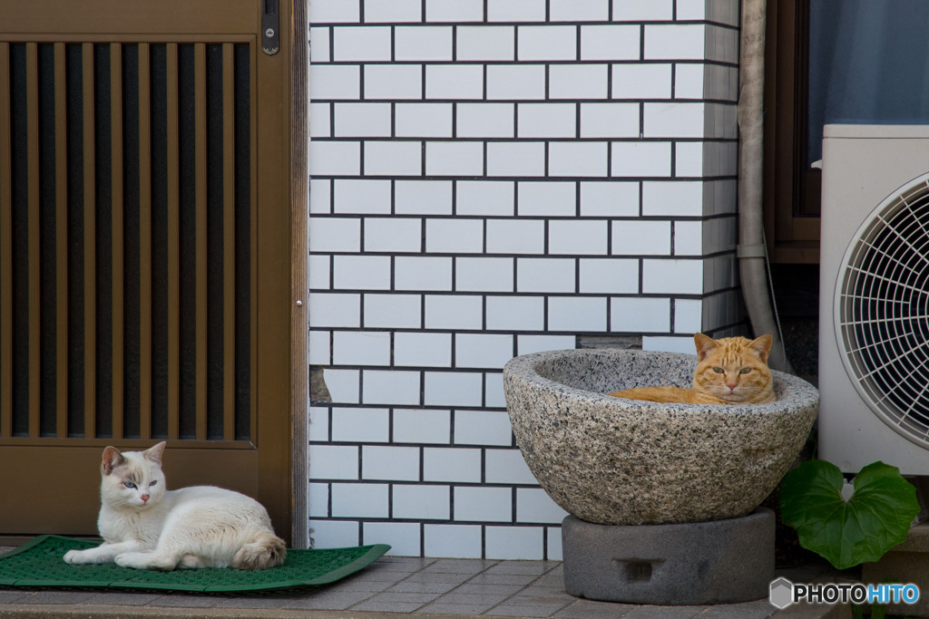 うすっ！！！