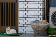 うすっ！！！