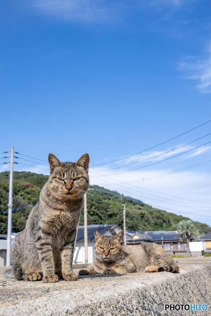 お母ちゃんと彼女の息子