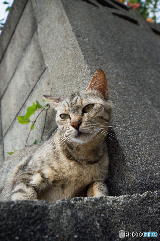 久々のユミちゃん