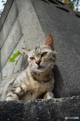 久々のユミちゃん