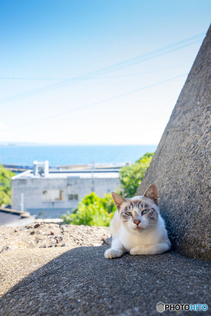 夏にご用心