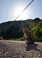 空に太陽がある限り