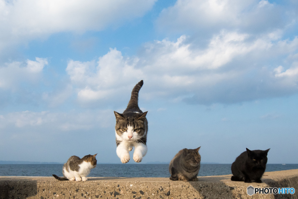 そーれー