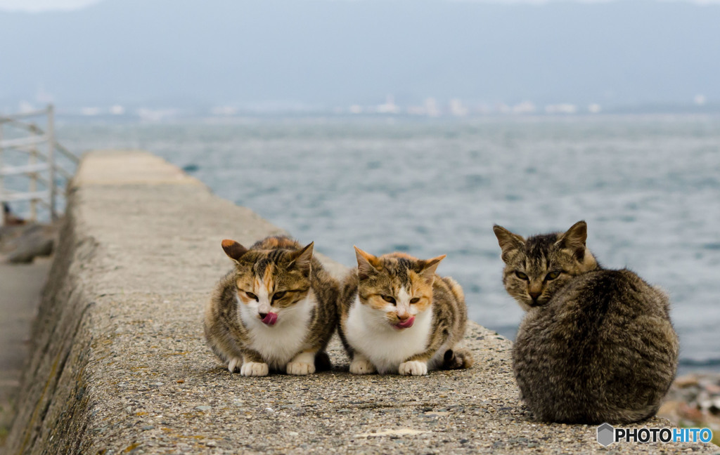 海辺の少女たち