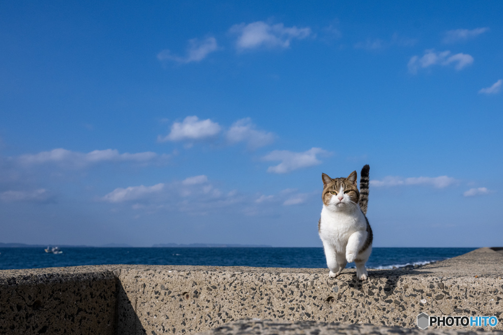 構えて！