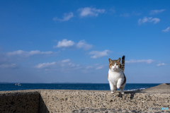 構えて！