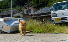 いらっしゃい～～