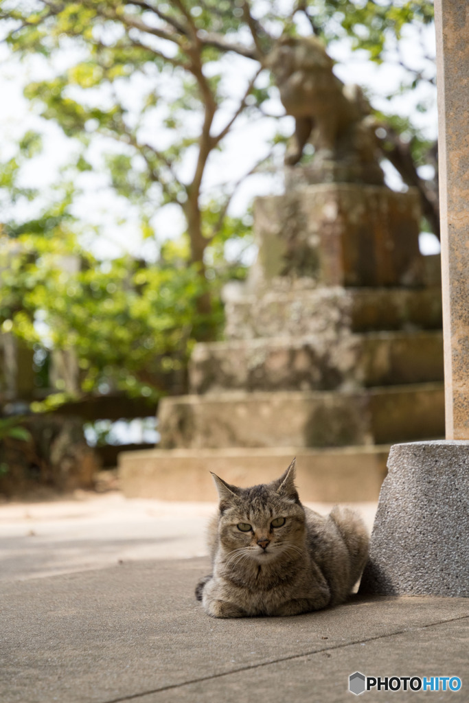 神社でおにゃ～～