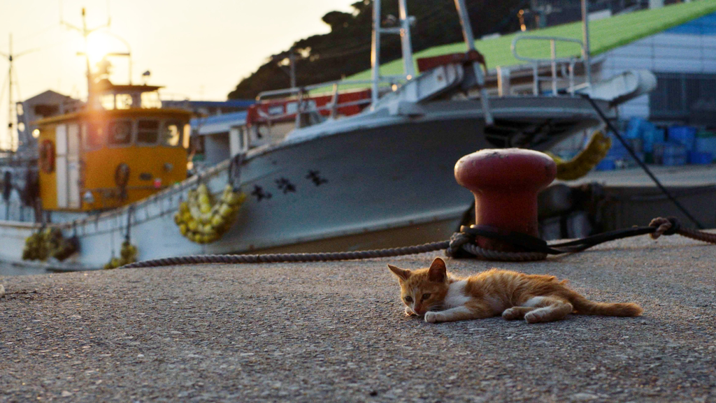 夕暮れどきは寂しくて