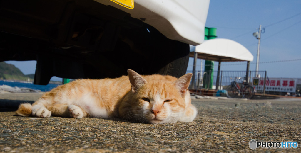 眠いの・・・