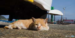 眠いの・・・