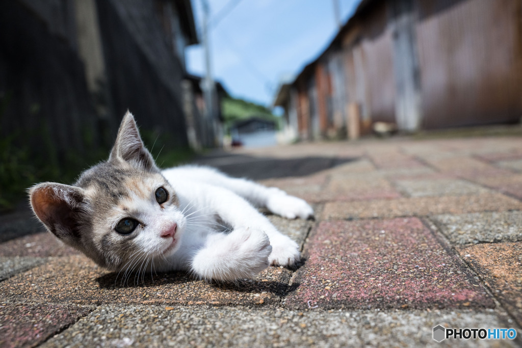 休憩だ～