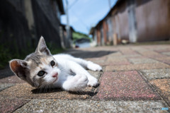 休憩だ～