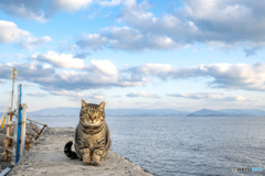 冬の海と冬の空