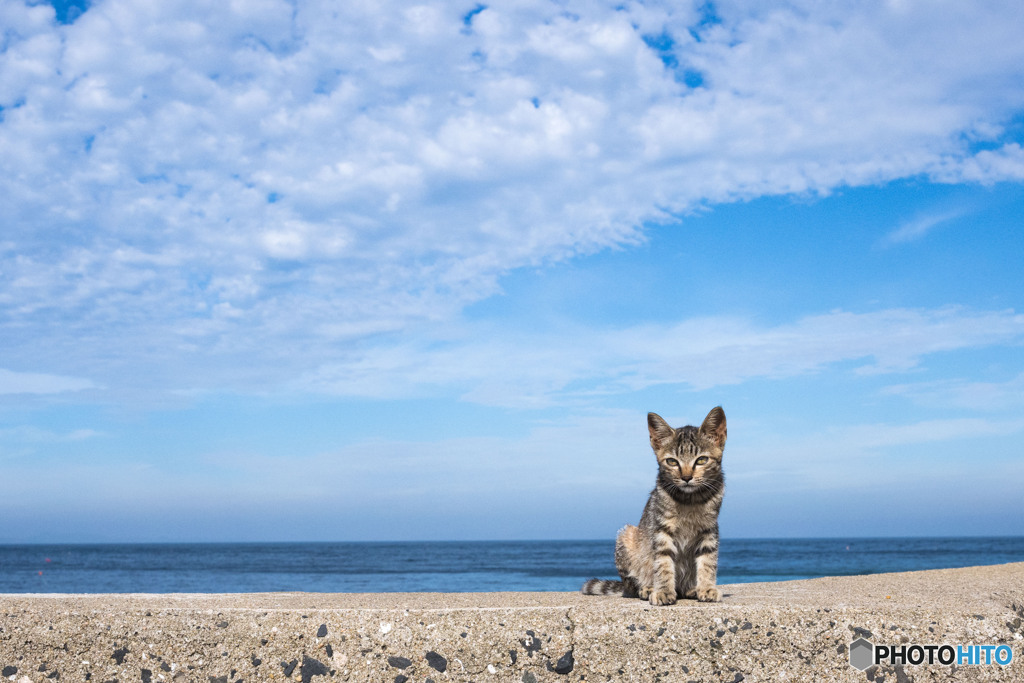 海辺のおチビさん