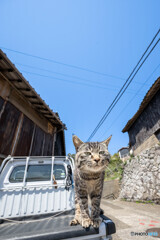 ぬぬぬ