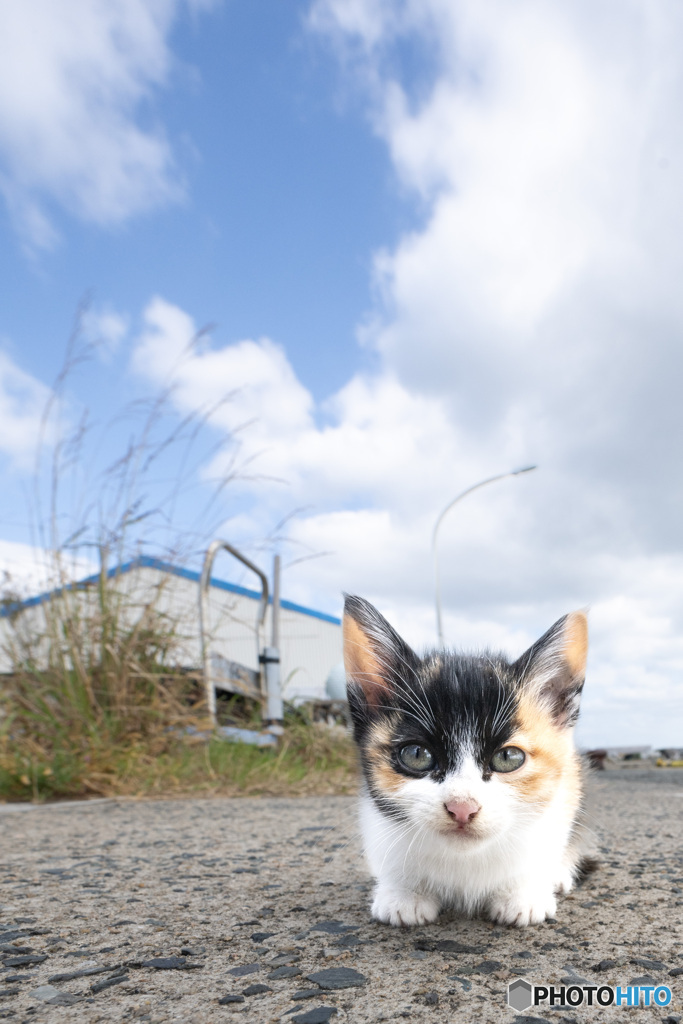 おチビさん