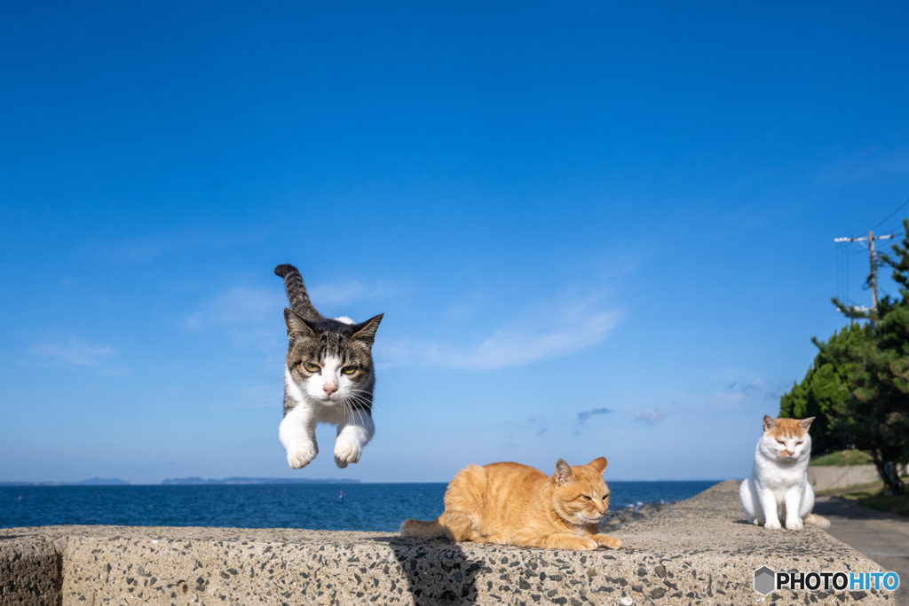 よいしょ～～