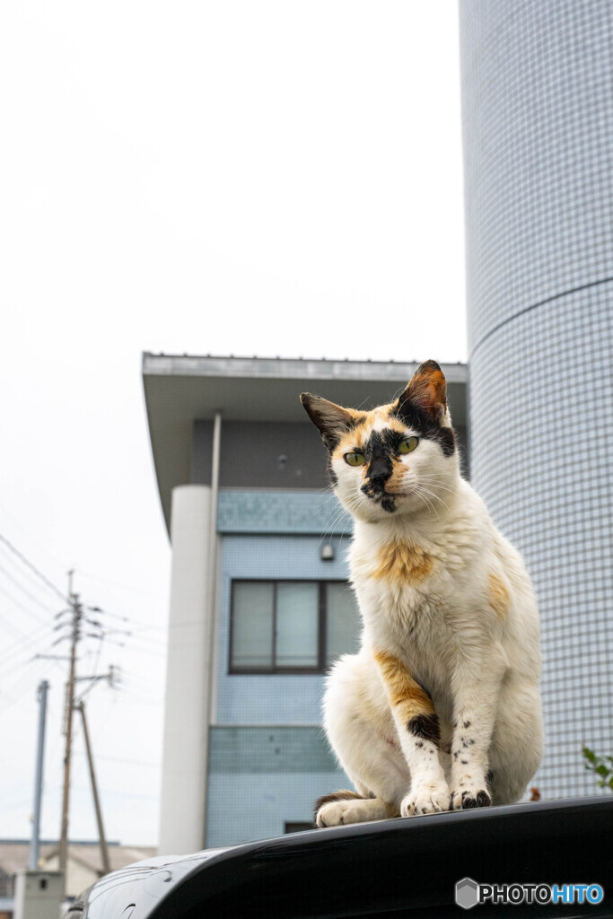 曇り空の朝