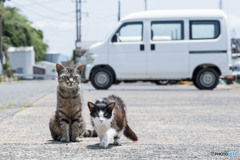 おじさん、おやつ持ってる？