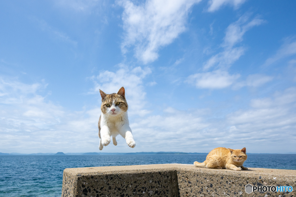 えいやっ！！！