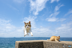 えいやっ！！！