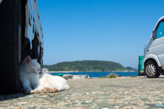 ちょっぴり暑い