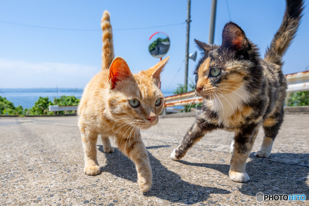 どけいっ！