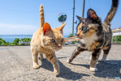 どけいっ！