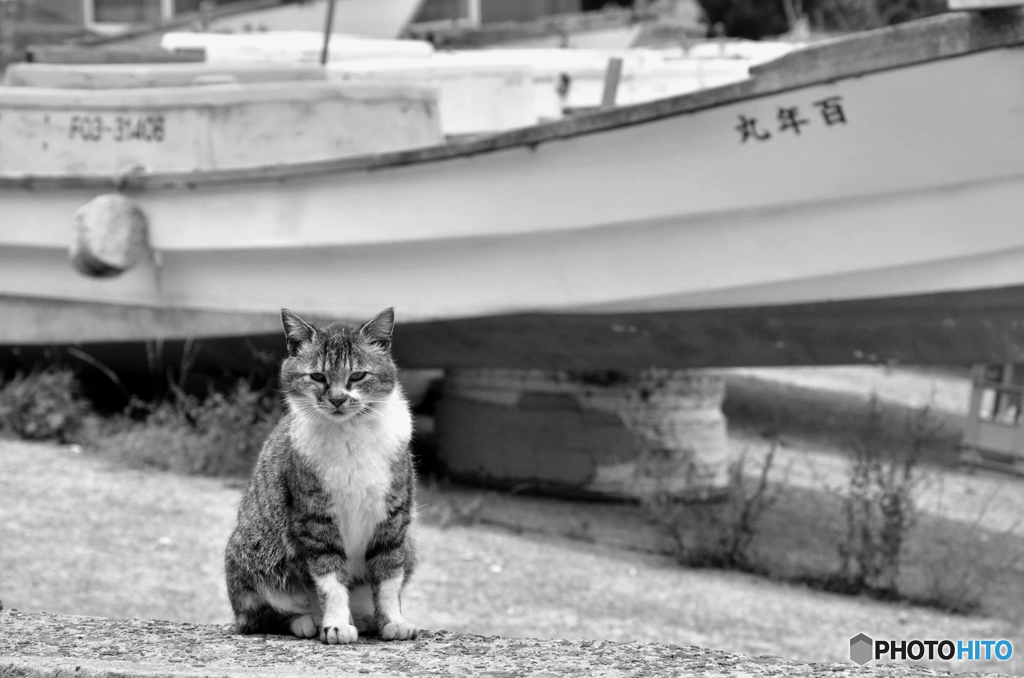 カッコ良過ぎる・・・・