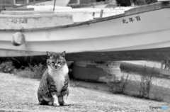 カッコ良過ぎる・・・・