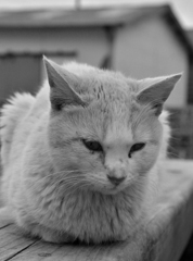 ちょっとさびしい・・・