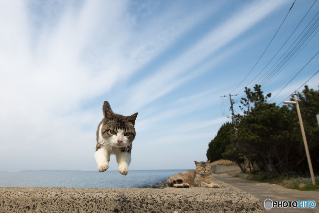 えいっ！！