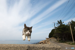 えいっ！！