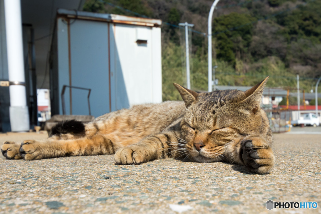 今週の大沢くん