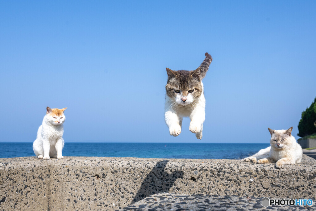 よいしょっと