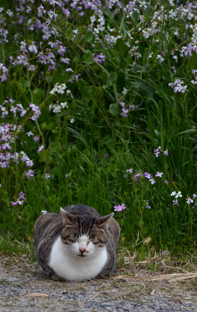 DSC_3946