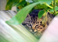 安全地帯ですよ