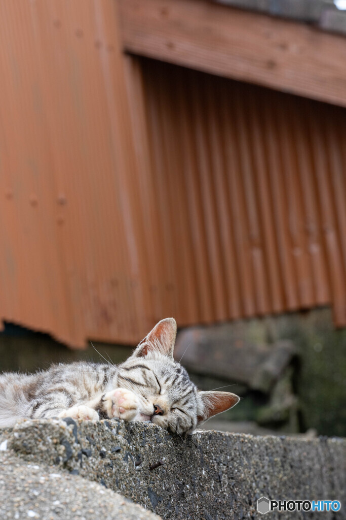 おねむ