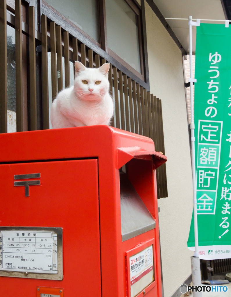 手紙と葉書は郵便ポストに投函してね