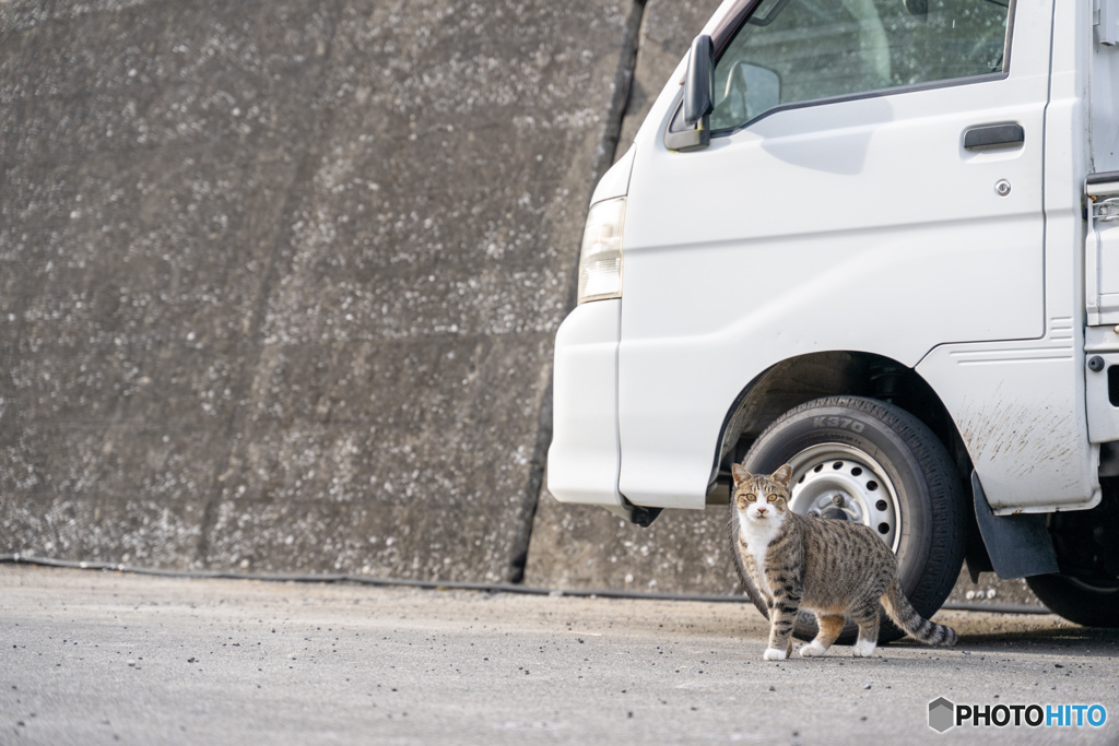 調子はどうだい？