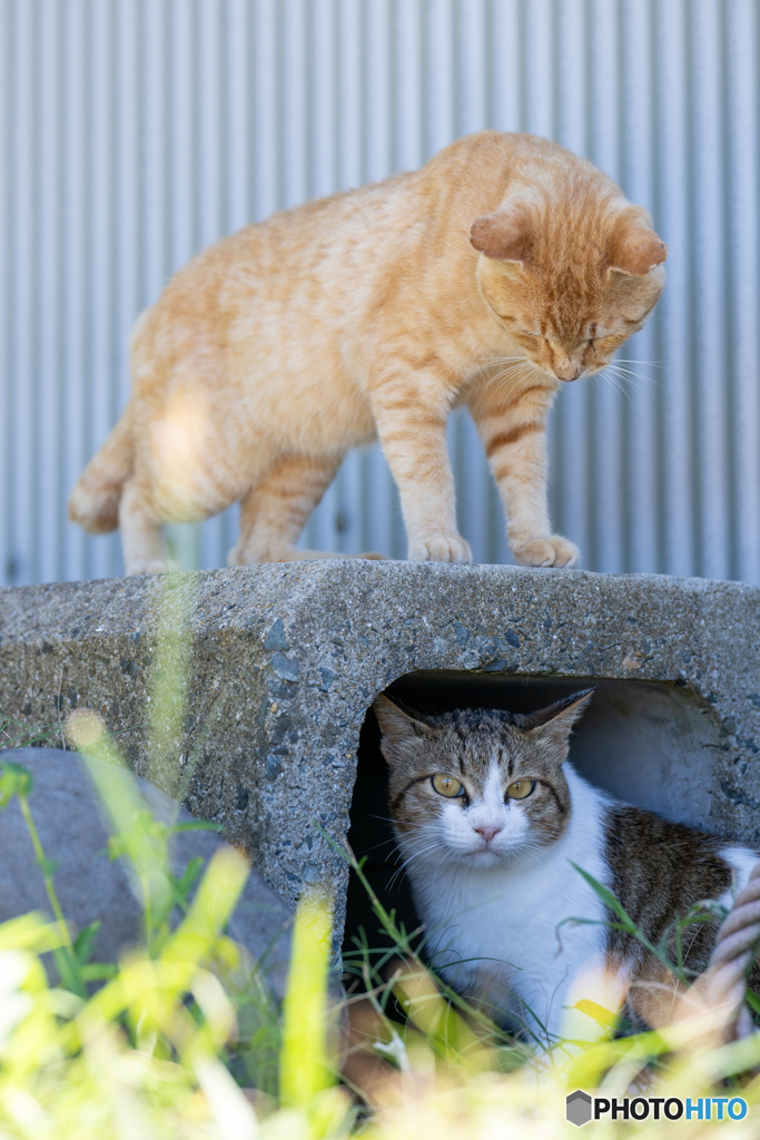 上に誰かいる・・・