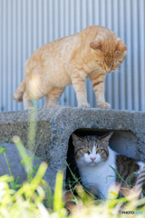 上に誰かいる・・・