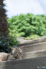 お母さん（1）