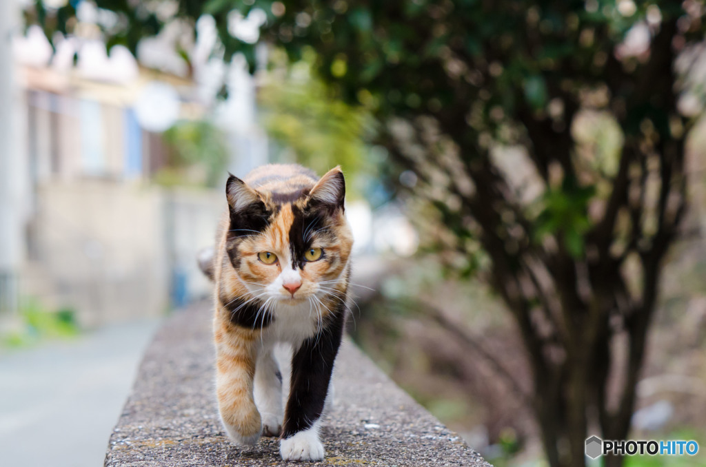 おはよ～です（1）