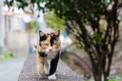 おはよ～です（1）