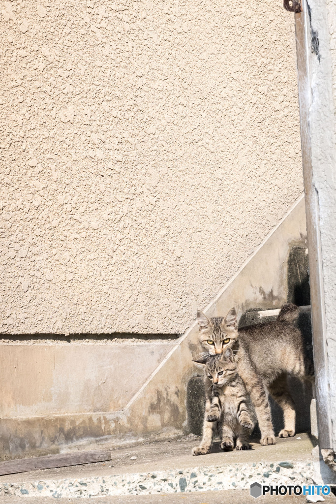 お母ちゃんに捕まる