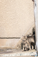 お母ちゃんに捕まる