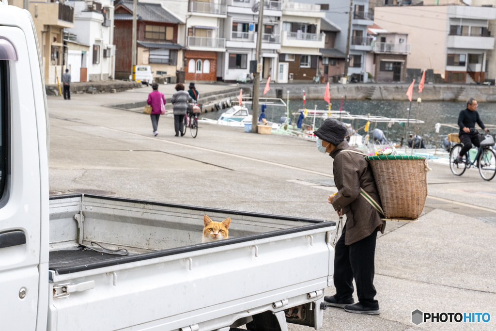 見つかってないよね